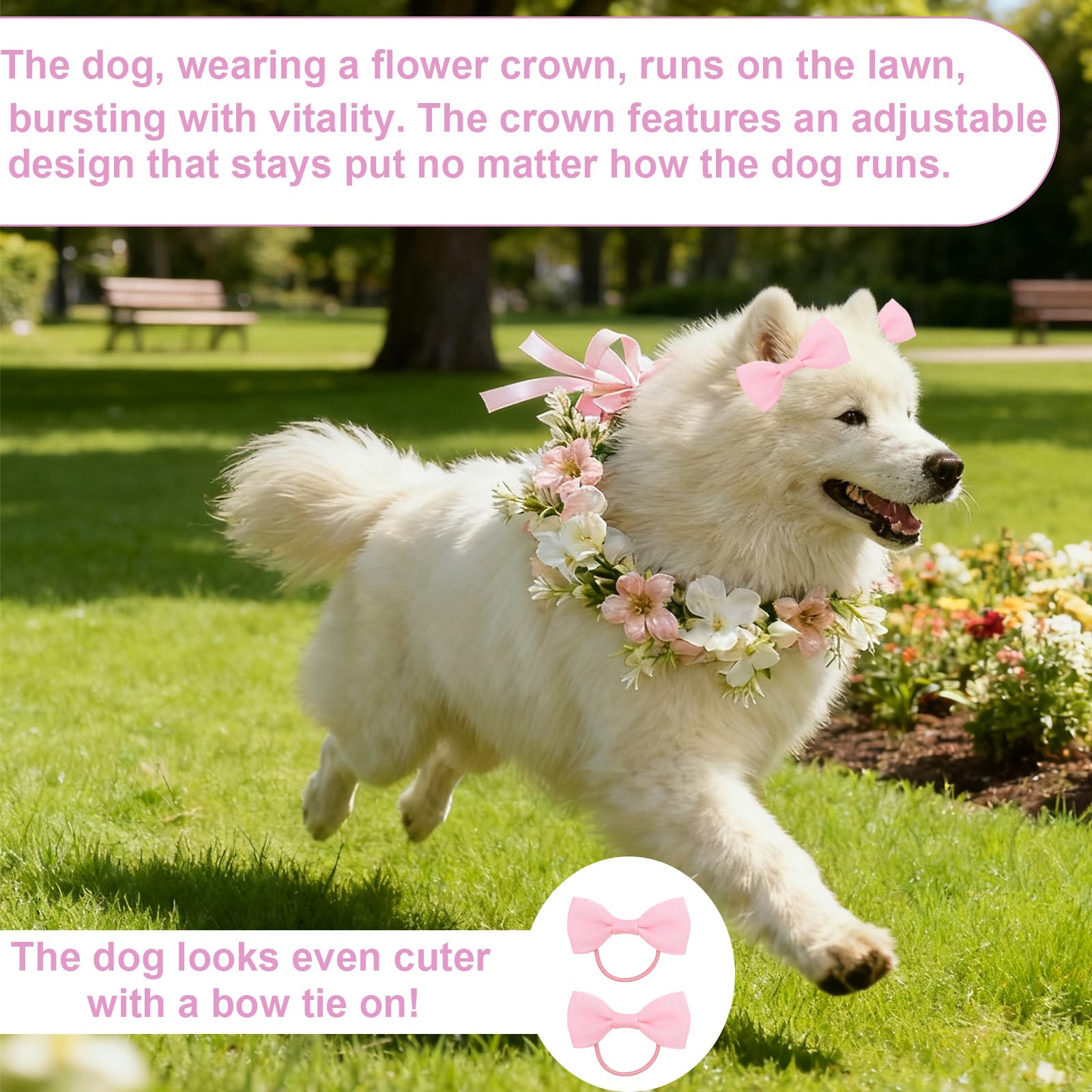 Papillon per Cane, Fiore Elegante con Fiori e Nastro, Adatto a Tutte Le Taglie di Cane, Regolabile, Perfetto per Matrimoni e Occasioni Speciali