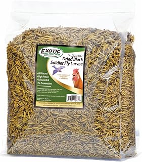 Exotic Nutrition 10 LB Bulk Dried Black Soldier Fly Larvae - High-Calcium Insect Treat - Chickens, Wild Birds, Bluebirds