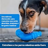 Ver la foto 7