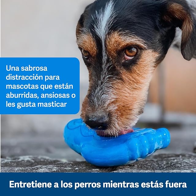 Foto 7 de 8 de PetSafe Pingüino para congelar, Juguete para Perros, para Entretenimiento y Control de Peso