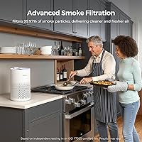 Vista 7 de Purivortex Purificadores de aire para el hogar, filtro de aire HEPA silencioso para polen, humo, polvo, caspa de mascotas, olor, cabello, cubre