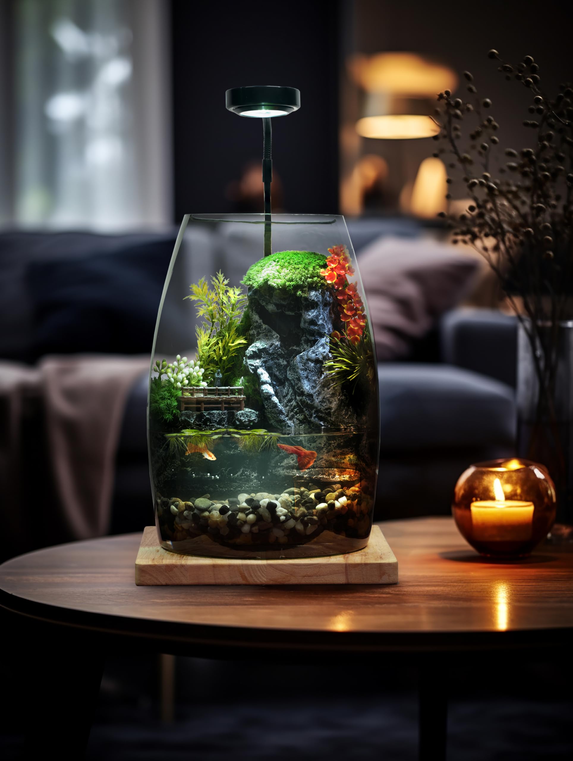 水を入れるだけですぐに始められる ミニチュアランドスケープアクアリウムAセット Amazon | 水を入れるだけですぐに始められる ミニチュア