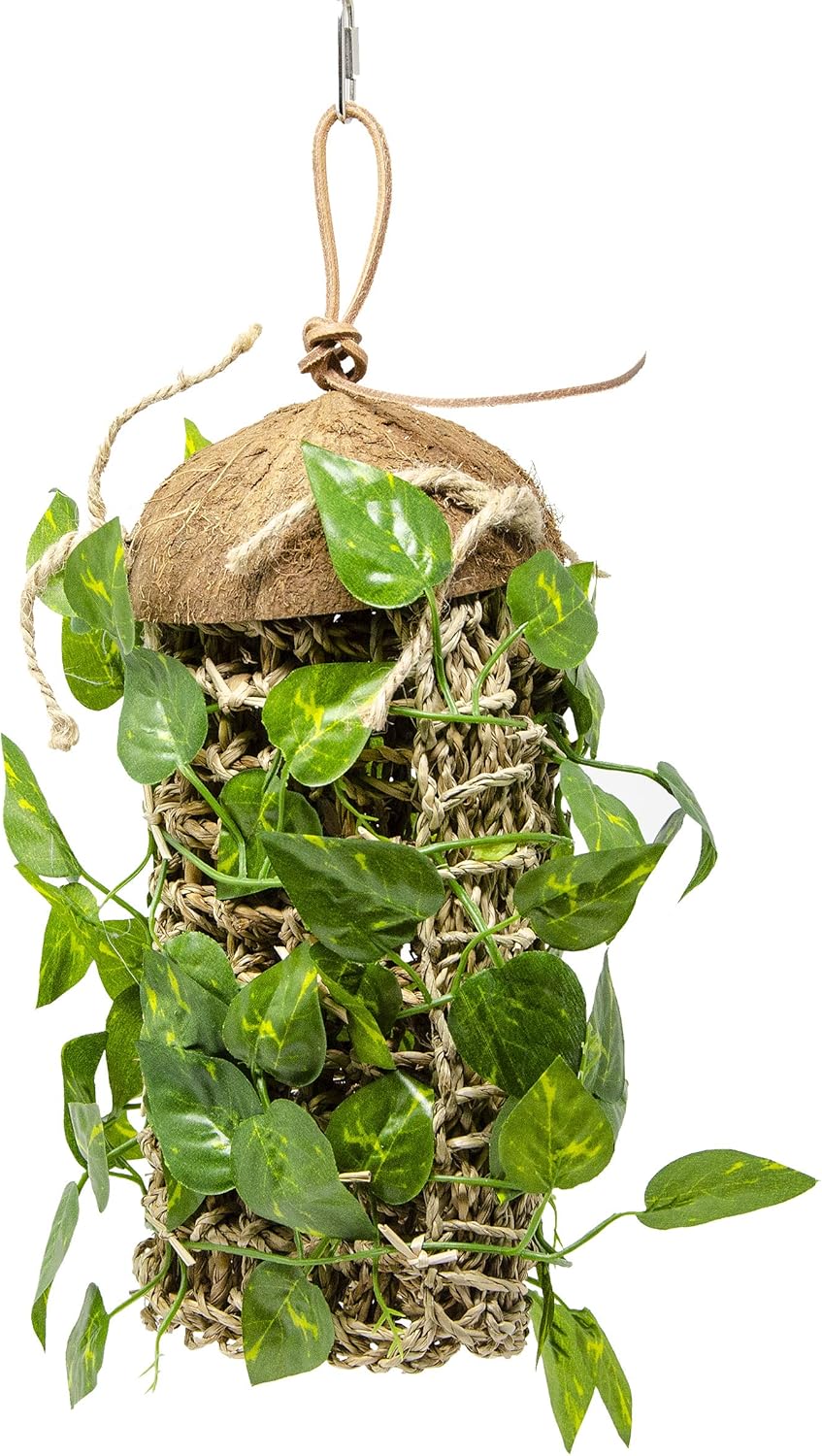 penn plax reptology lizard lounger