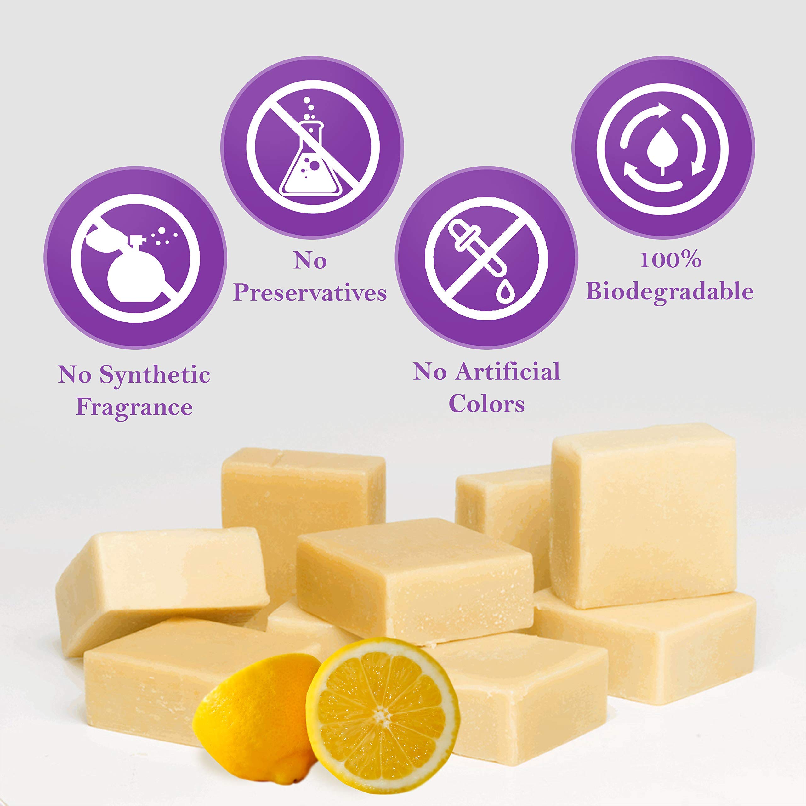 Candida Freedom 100 Natural Probiotic Soap Anti fungal Soap for Skin