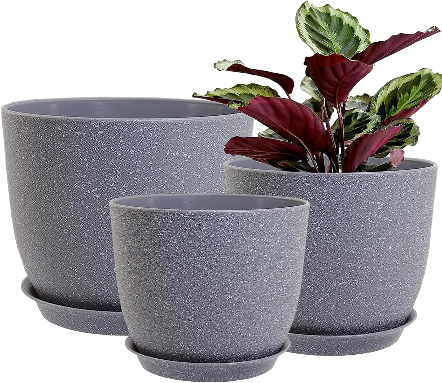Extra large heavy duty plastic planters in essex