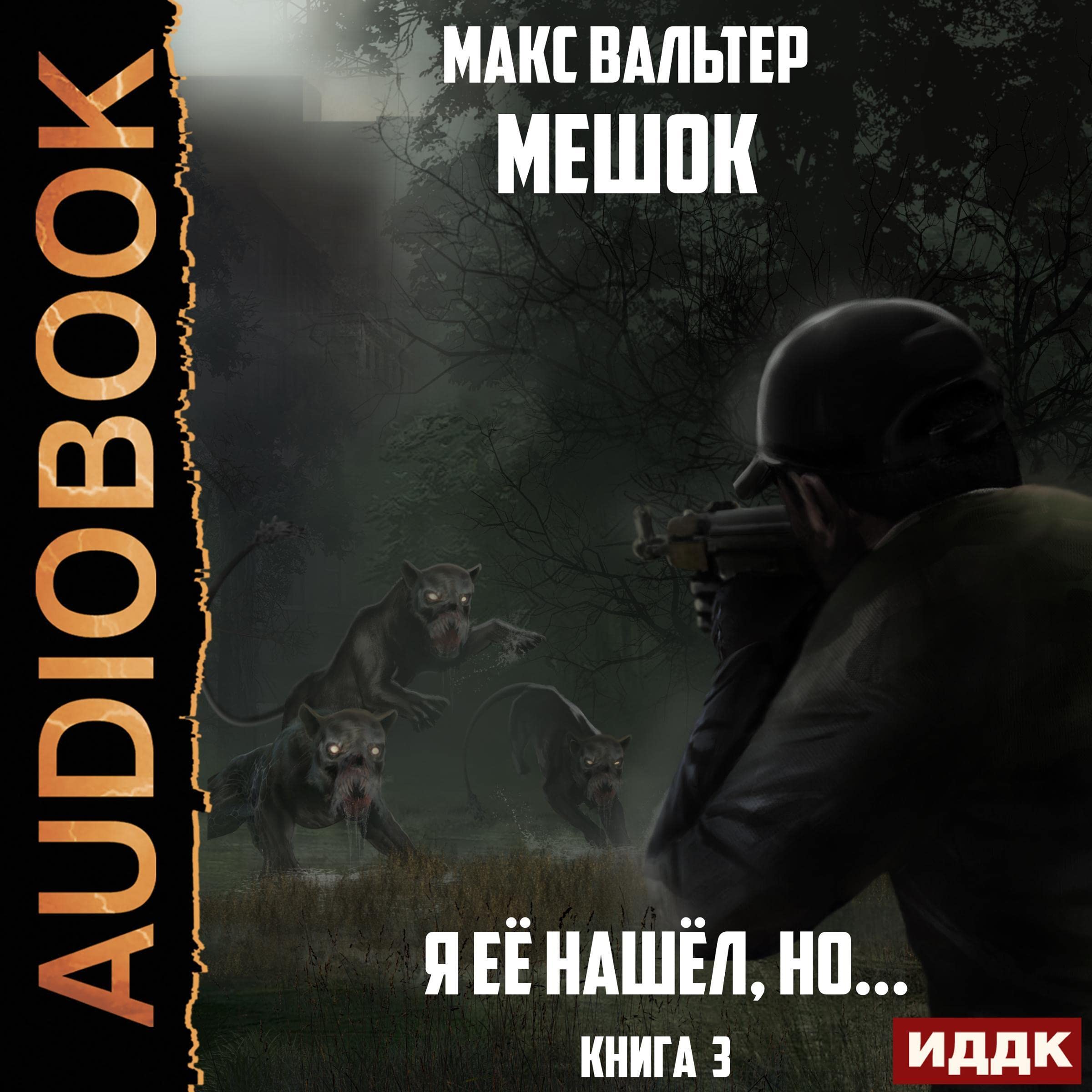 Cover art for Я её нашёл, но... [I Found It, But...]