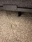 Customer review image for Great purchase! Wish I had done it sooner!