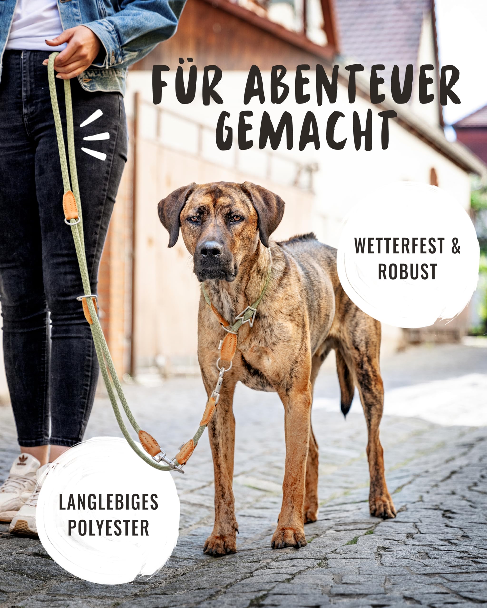 Rudelkönig Führleine Emma 2,30m - Verstellbare Hundeleine für mittelgroße & große Hunde - Elegante Tauleine in Khaki