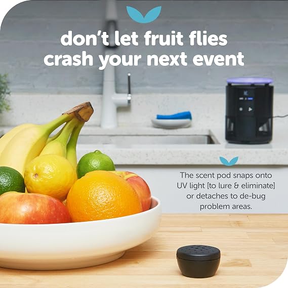 Katchy Duo Indoor Fly Trap with Scent Pod Day & Night Effective Mosquito, Fruit Fly, Gnat & Small Moth Killer Non-Zapper Trap with UV Bug Light & Fan Suction (White)