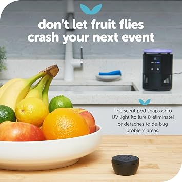 Katchy Duo Indoor Fly Trap with Scent Pod Day & Night Effective Mosquito, Fruit Fly, Gnat & Small Moth Killer Non-Zapper Trap with UV Bug Light & Fan Suction (White)