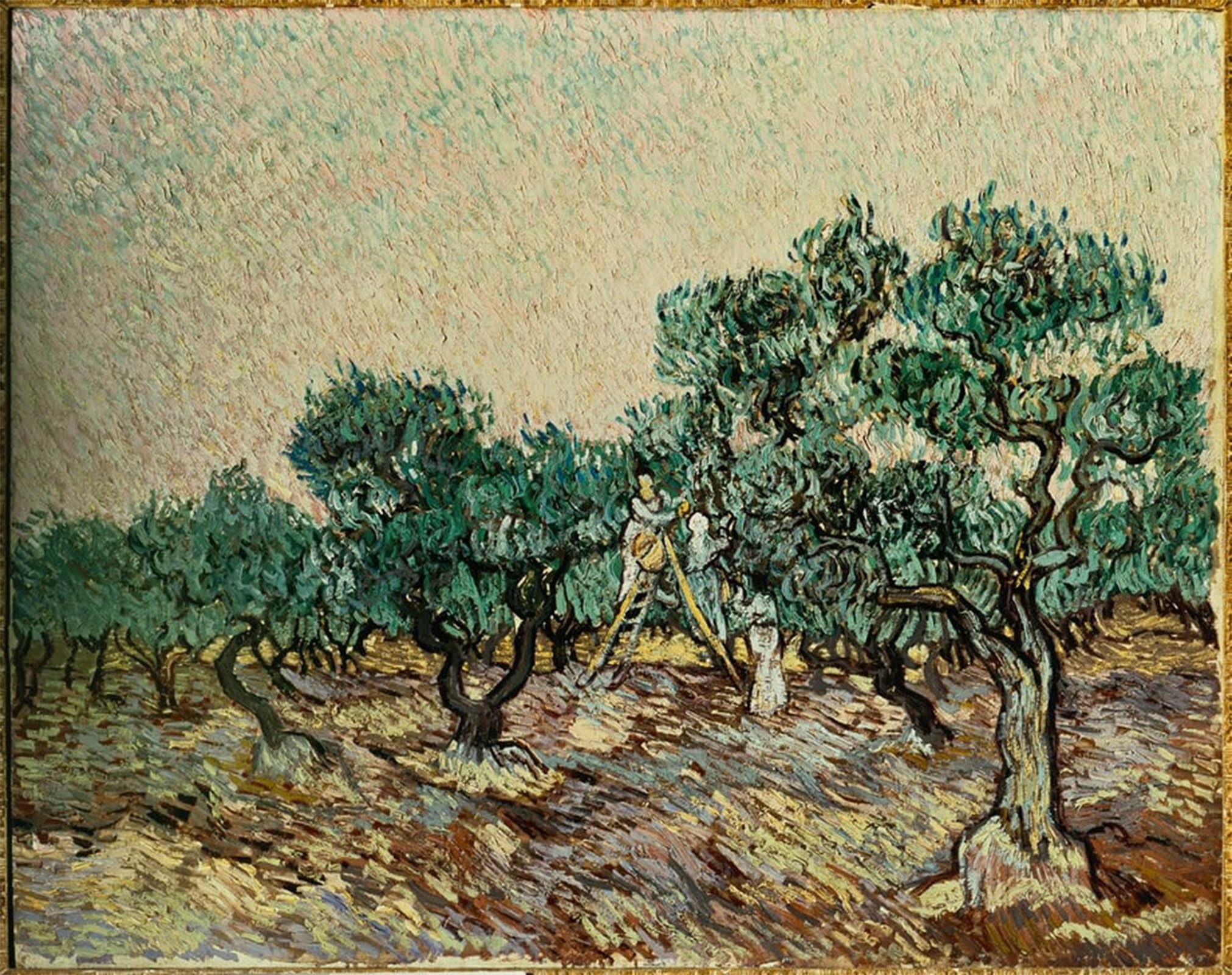 ARTXLXXBN Famous Print Painting Colorful Art Print Olive Pickers Canvas Art Decorations for Home Decor 60x90cm