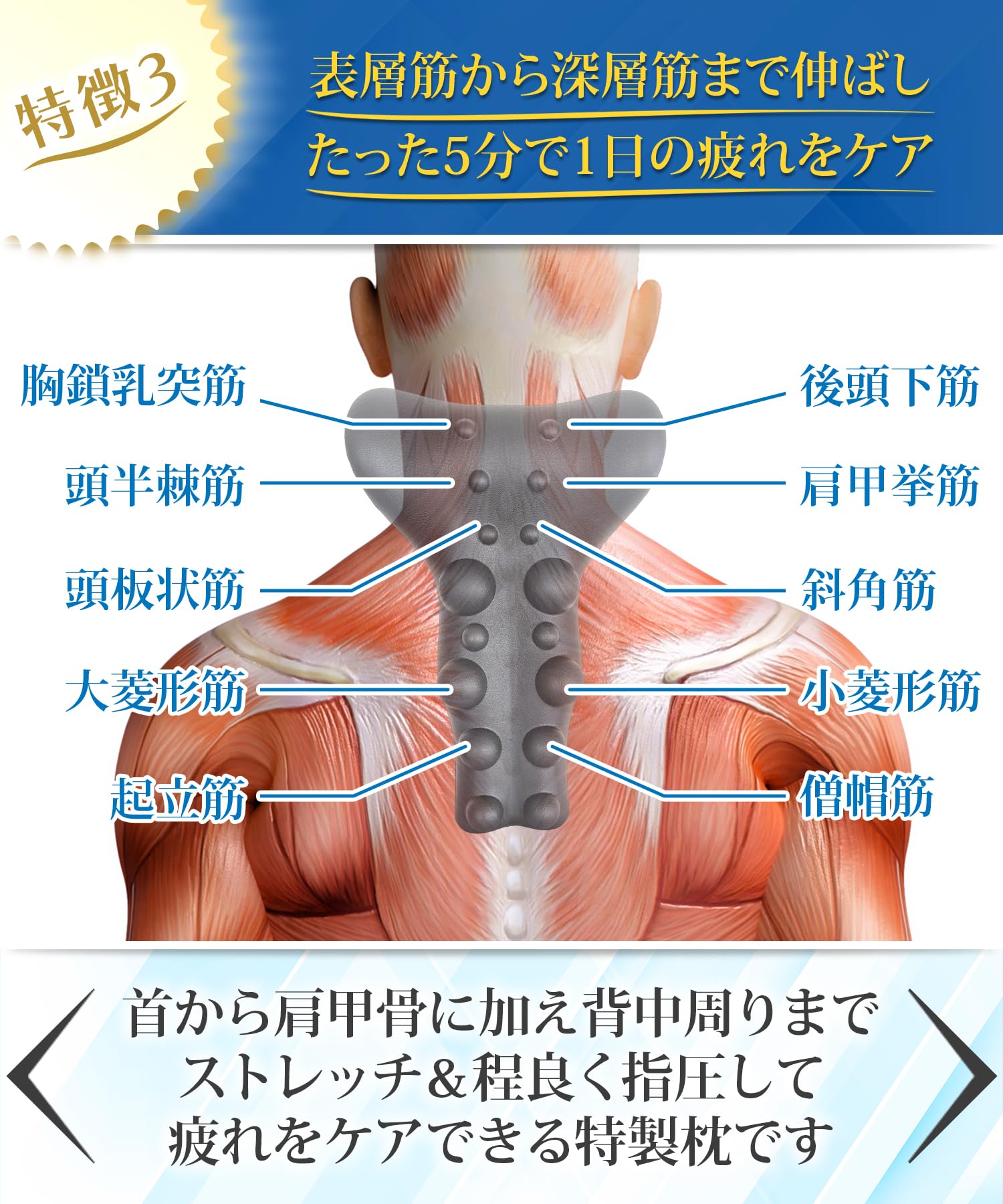 Amazon.co.jp: 【1日5分寝るだけ！首ストレッチ＆肩甲骨ツボ押しのW