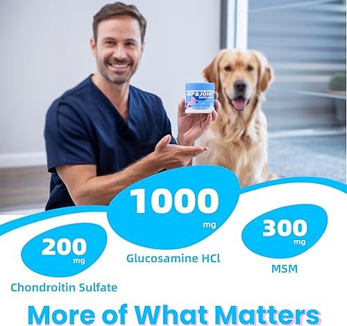 Miniatura 4 de Suplemento avanzado para cadera y articulaciones para perros, glucosamina para perros con MSM, condroitina, fórmula antiinflamatoria natural para un