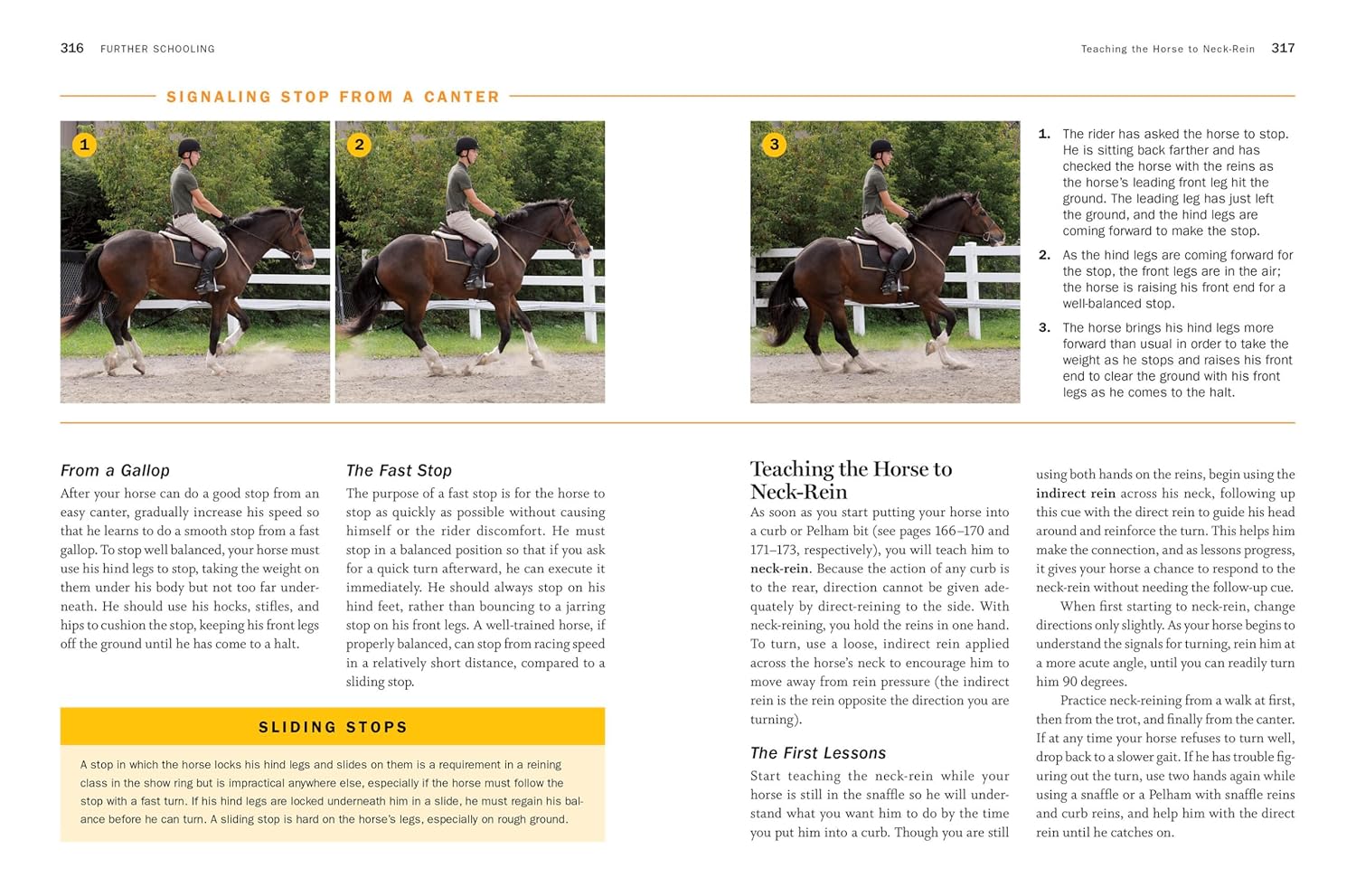 Storey's Guide to Training Horses, 3rd Edition: Ground Work, Driving, Riding - Image 6