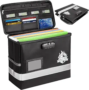 BALEINE Fireproof Document Box with Lock, Waterproof Fireproof File Organizer, Black, 12.5''x10.5''x6''
