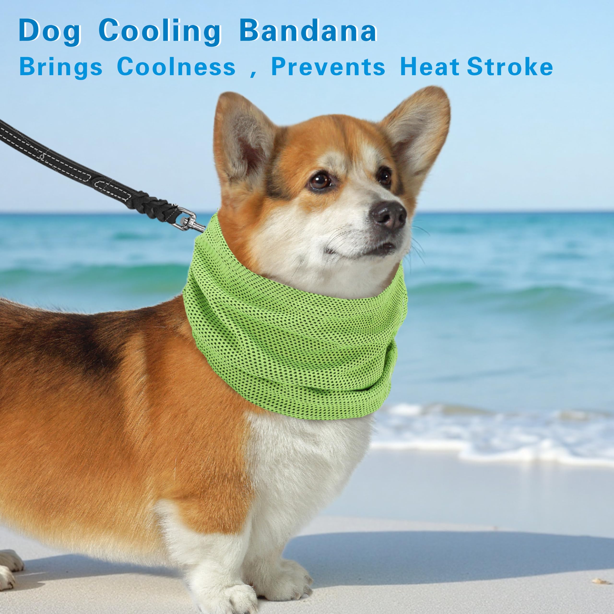 Bandana Rinfrescante Cane, Sciarpa Raffreddamento per Cani, Collare Freddo per Dog, Cooling Foulard Domestico Cani, Collari Rinfrescante Estivo per Cane (Verde-S)