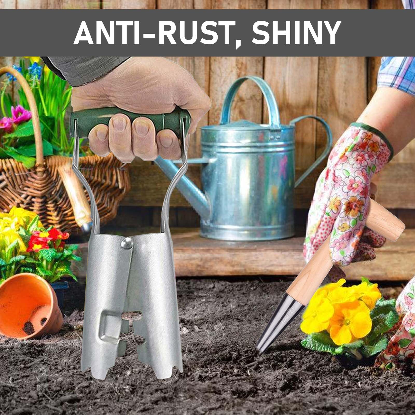 Set di 2 piantine di bulbi, bulbi per piante, peso leggero, piantagione di cipolle in acciaio inox con manico in legno e piantatrice di cipolle per giardini Bulb Plant