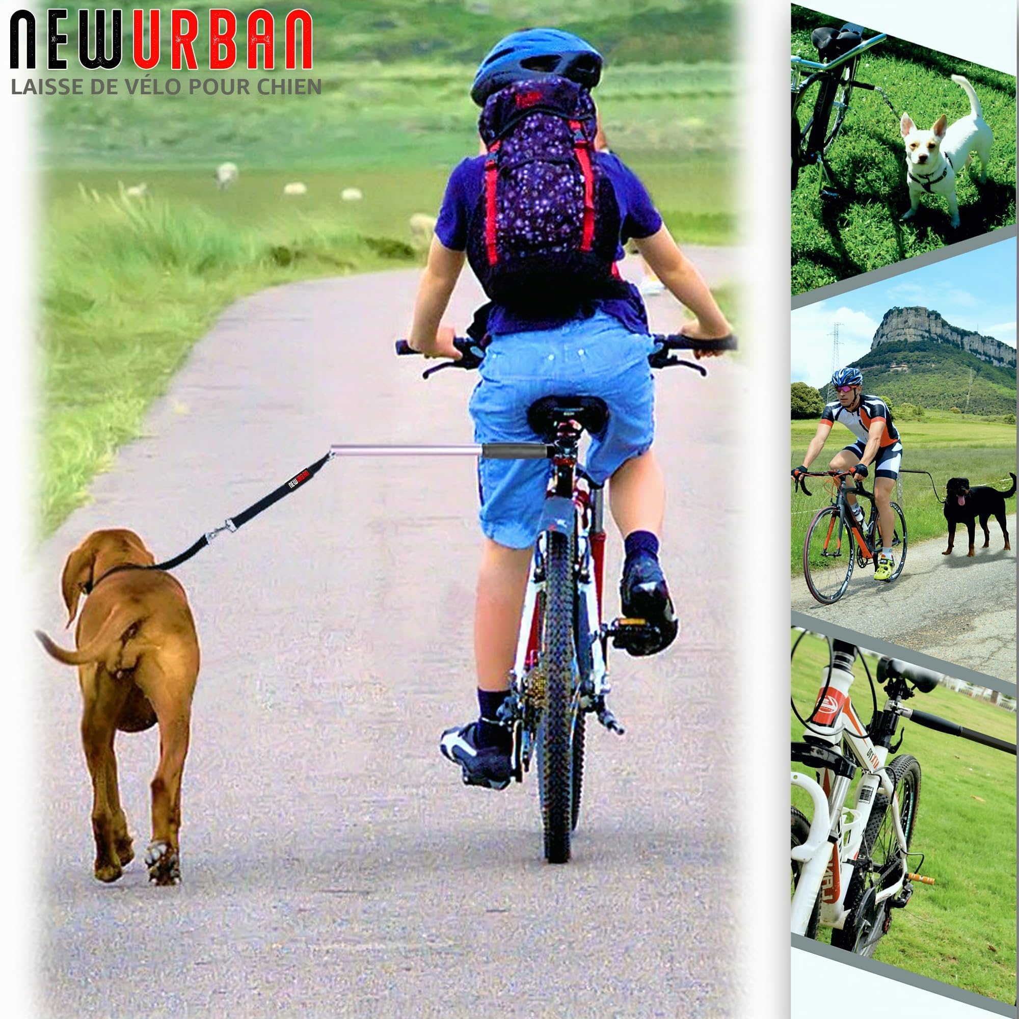 NEWURBAN Laisse de Vélo Pour Chien – Mains Libres – Acier – Entraînement Jogging Cyclisme