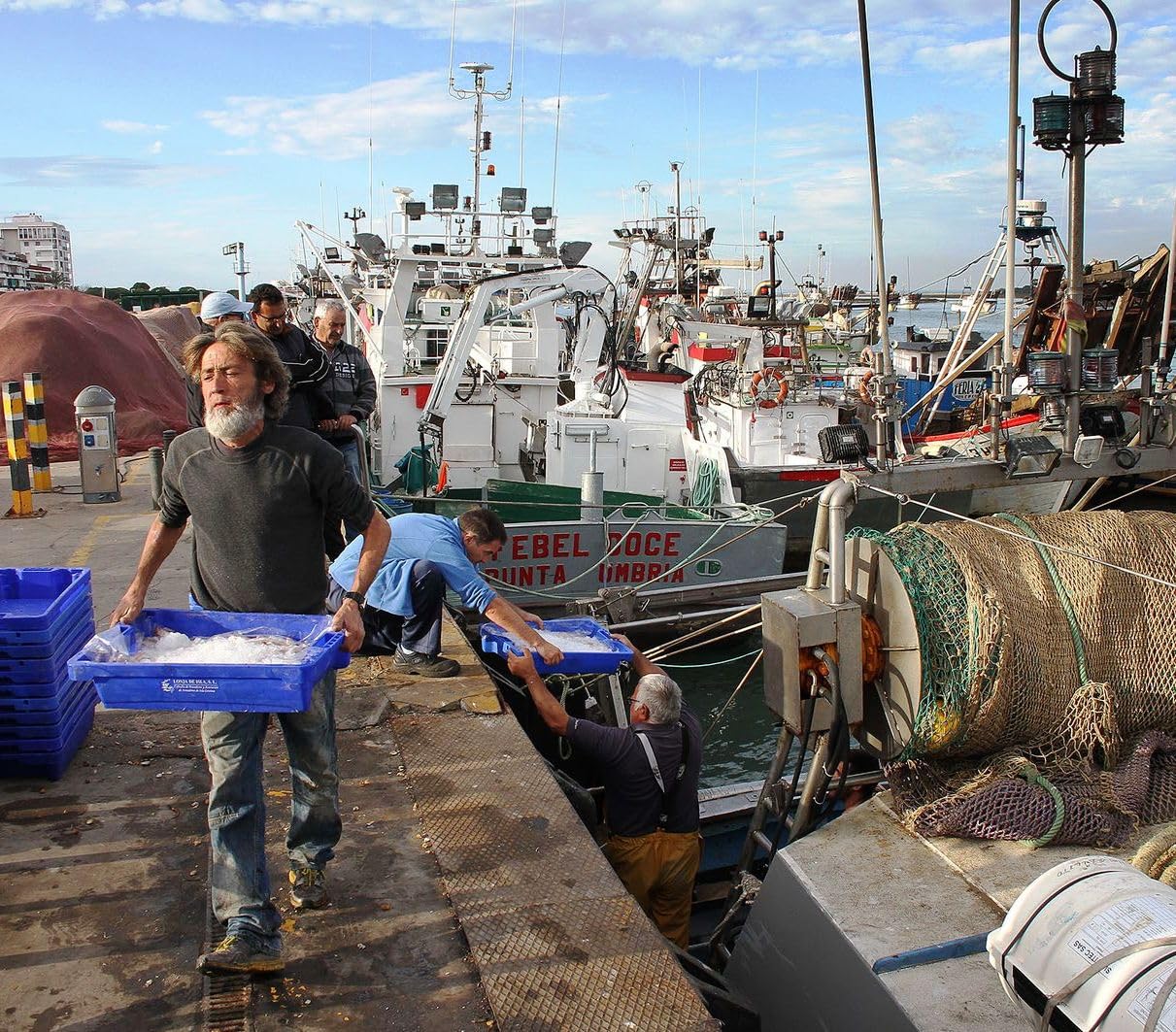 Gamba Blanca de Huelva - Pescadería Premium - 1 kg -Pescado y Marisco Fresco de Lonja (1 kg, Gamba Blanca) - 2