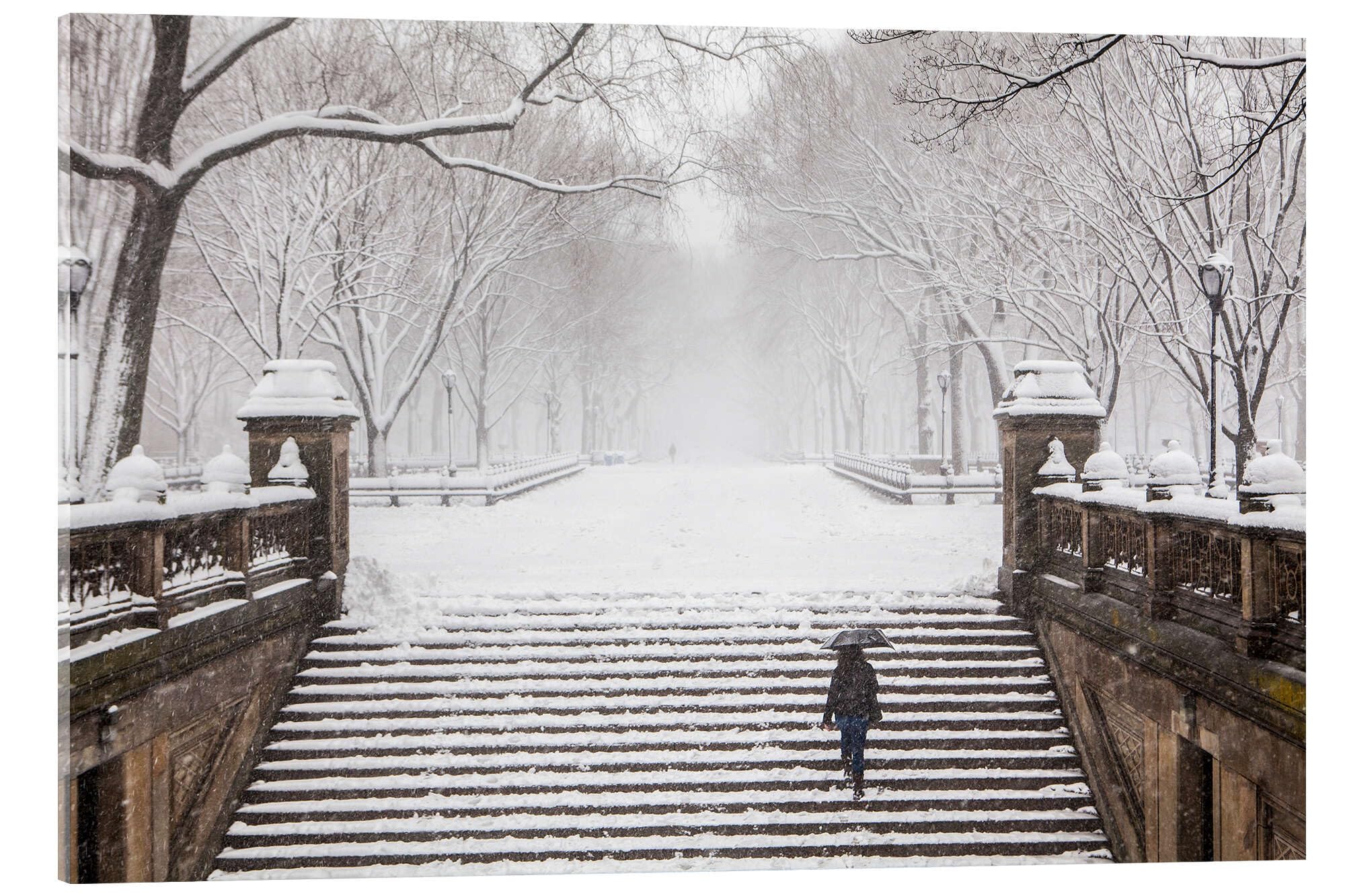 Posterlounge L'hiver à Central Park Tableau en verre acrylique