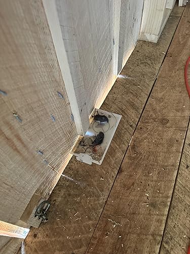 Miniatura 2 de Viper - Trampas para ratones, trampas para ratones de primera calidad, desechables o reutilizables (6 trampas adhesivas con 12 guantes)