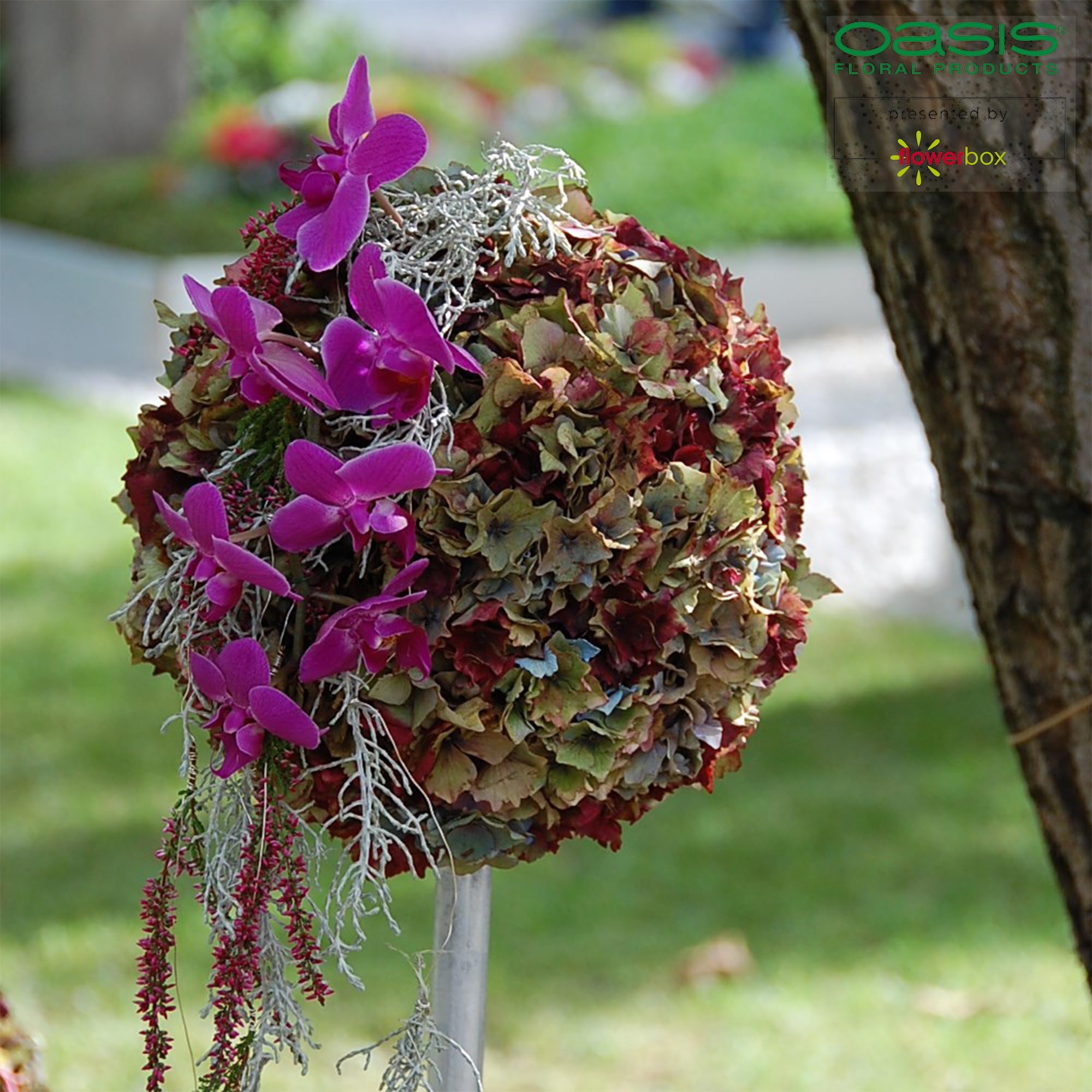 Flowerbox Oasis Spugna Decorativa Per Fiori, Con Vasca E Griglia, 17,5 Cm, Per Composizioni Floreali E Arte Funeraria