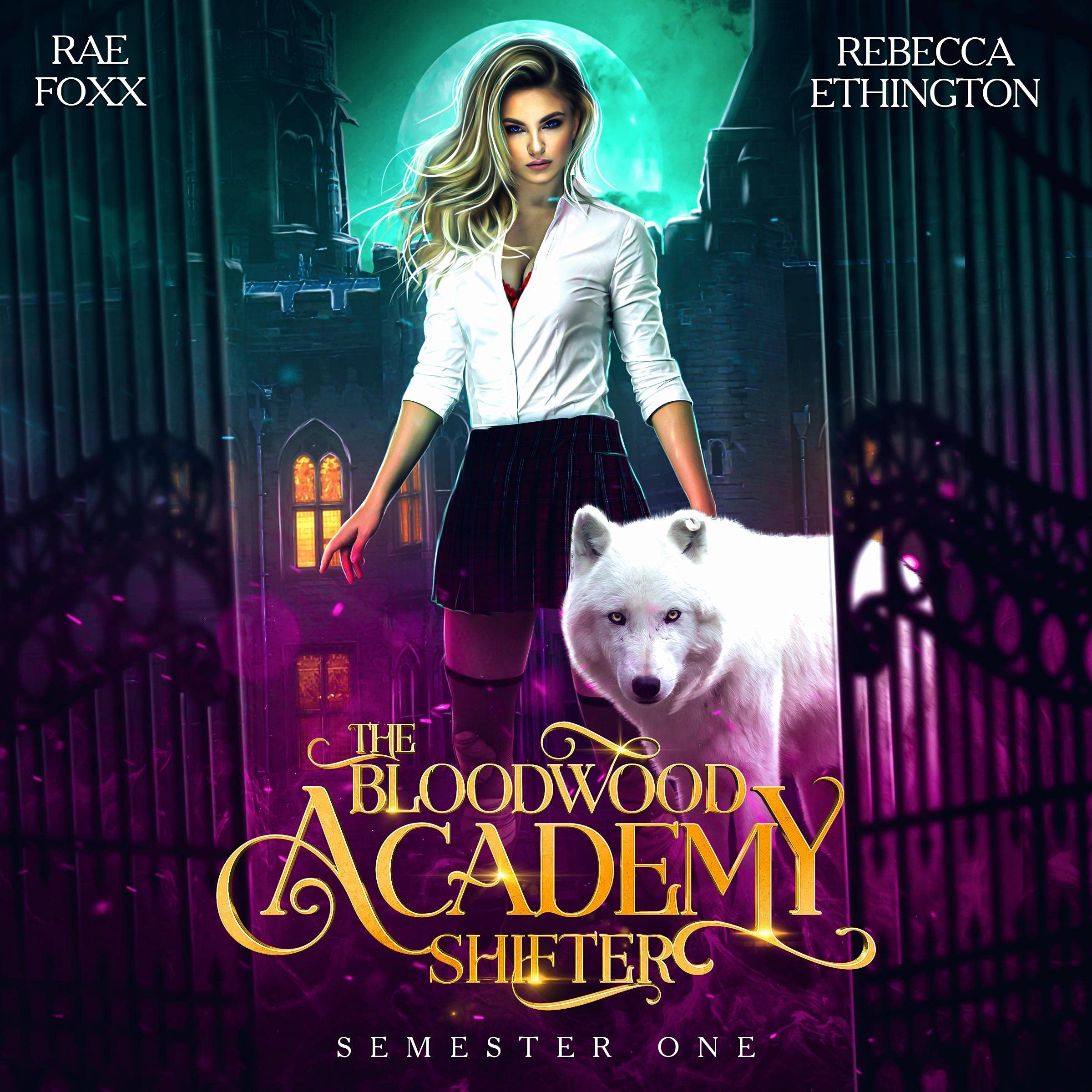 Cover art for Bloodwood Academy: Semester One
