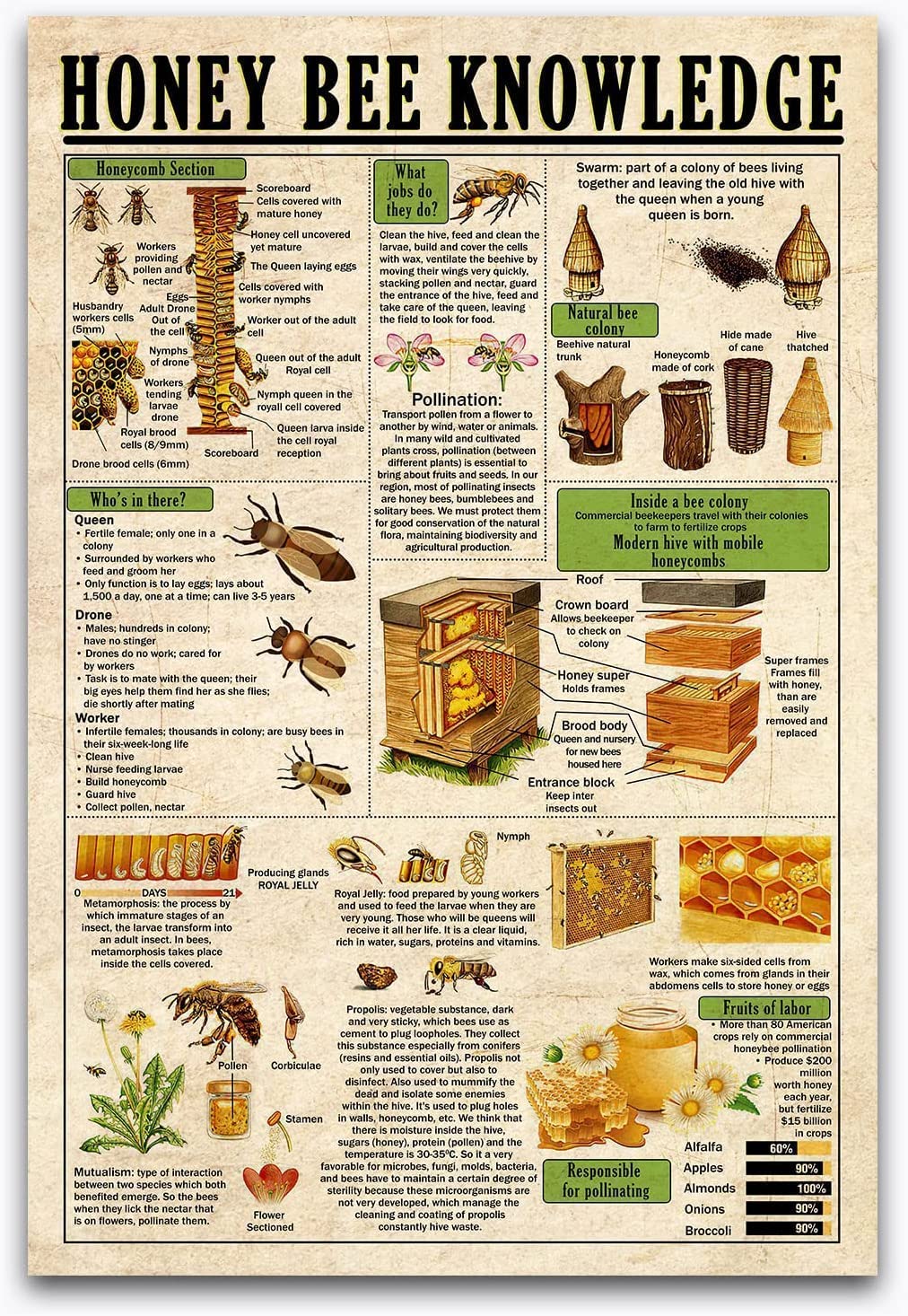 Honey Bee Knowledge Metal Signs Vintage Beekeeper Guide Plaque Wall Decor Tin Posters Retro Yard Farm Classroom Coffee Kitchen Garage Home 12x16 Inches