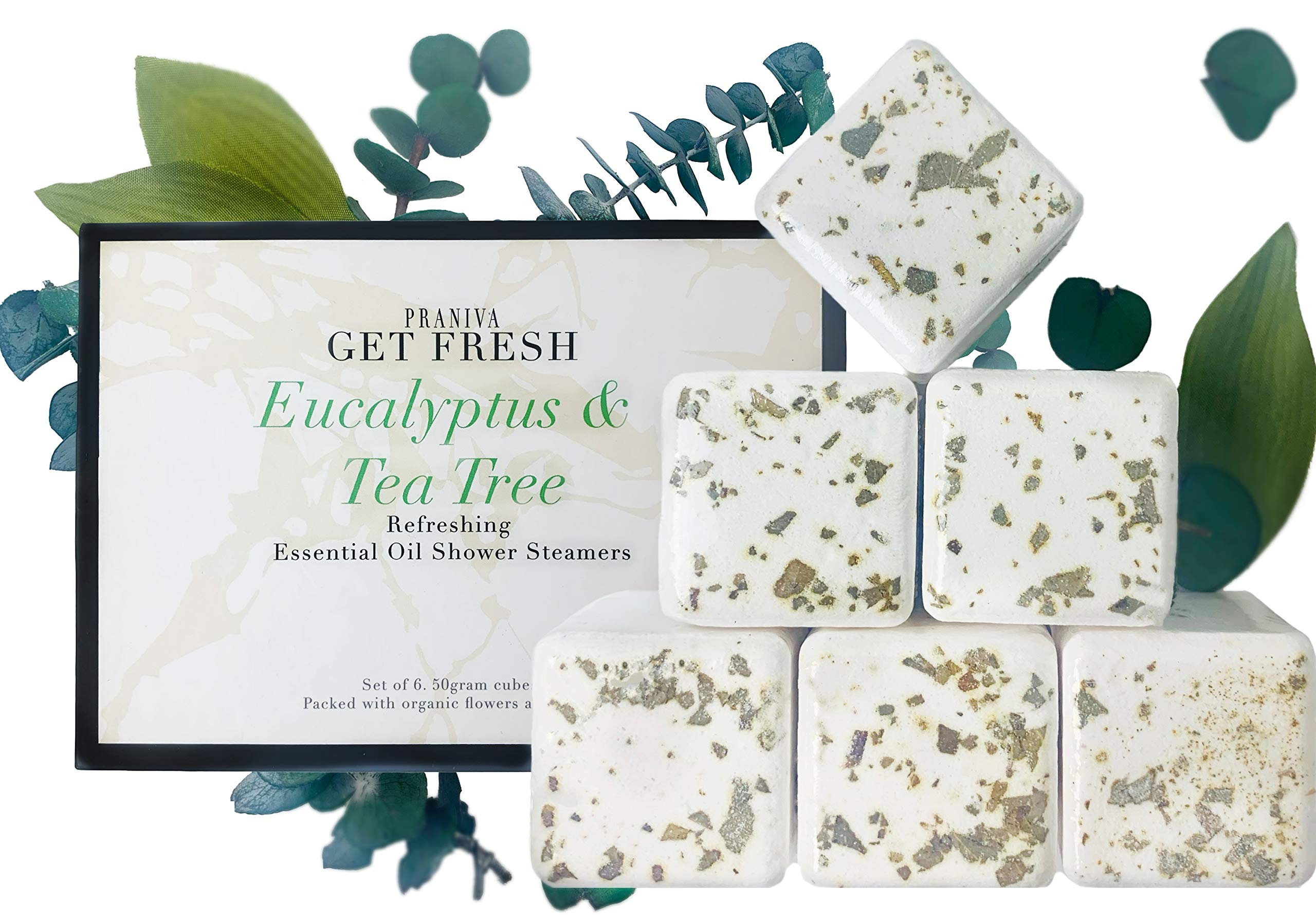 Buy PRANIVA Eucalyptus Shower Steamer s Made in USA with Essential Oils