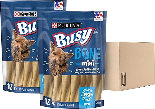 Purina Busy Fabricado en Instalaciones de EE.UU. Huesos para Perros de Raza Pequeña, Mini - (Paquete de 2) Bolsas de 12 unidades
