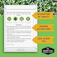 Vista 2 de 1 paquete de semillas de microgreens de brócoli para plantar y cultivar – Planta plantas de microvegetales de hoja verde en interiores – Cultiva tu