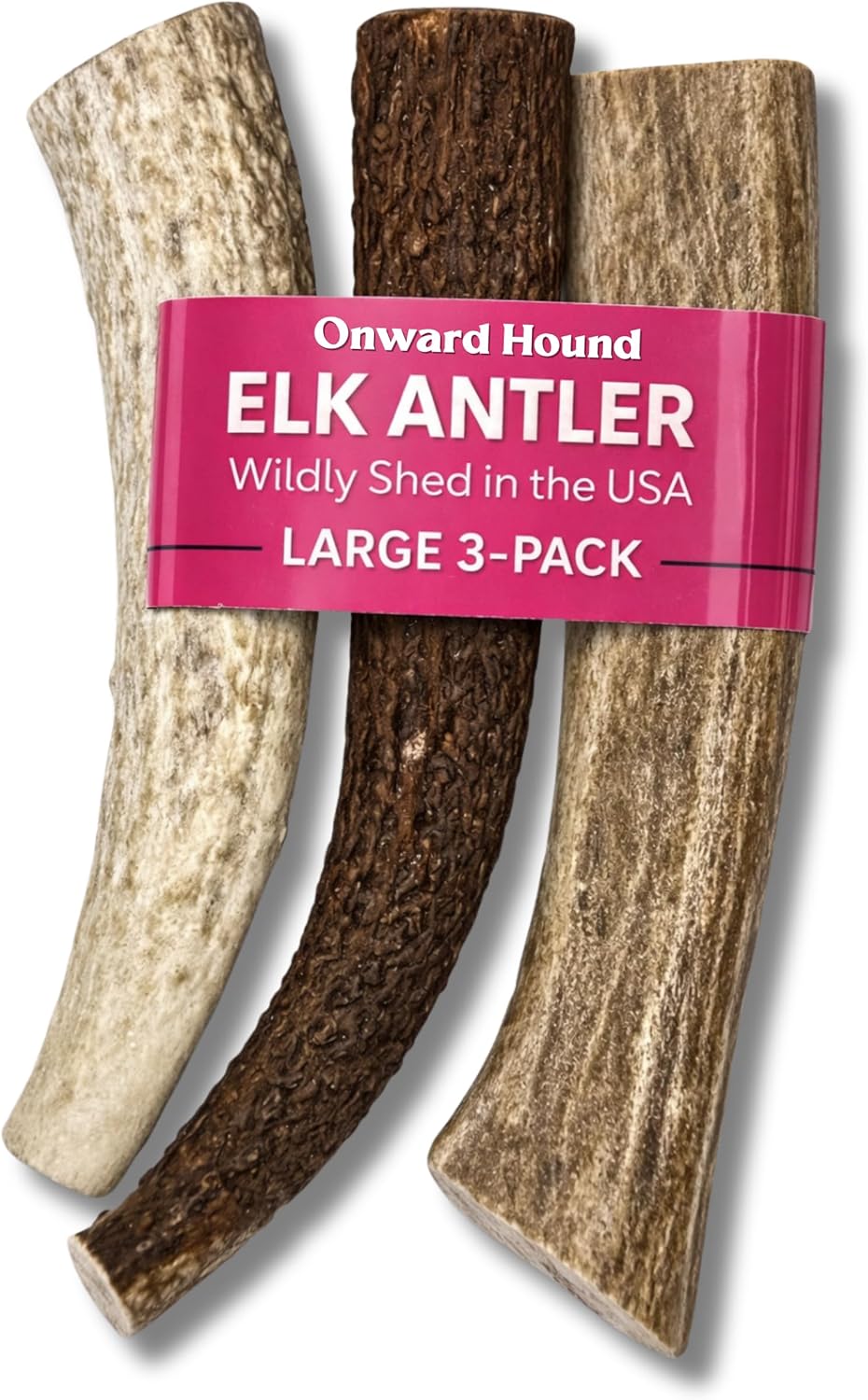 Onward Hound Elk Antlers for Dogs – Deer Antler for Dogs, 6"+ Medium Whole Natural Chew, Long Lasting for Aggressive Chewers, Premium Grade A Naturally Shed USA Elk Antlers, 1-Pack