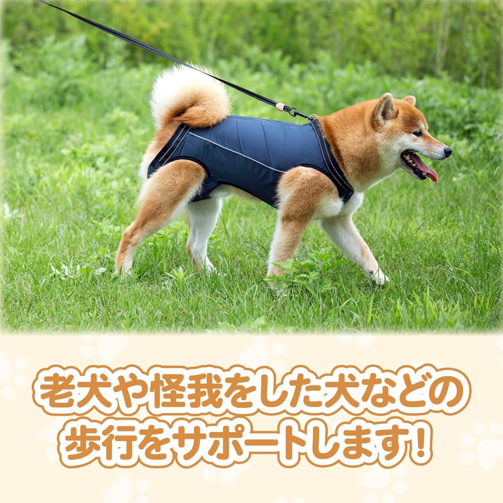 犬 猫 ハーネス リード セット ペット 用品 散歩 脚 障害 介護 リハビリ Amazon | 犬 猫 ハーネス リード セット ペット 用品 散歩 脚