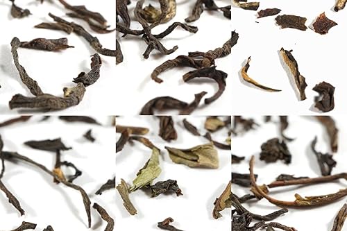 Miniatura 8 de Beantown Tea & Spices - Paquete económico de muestras de té. 30 muestras de té gourmet de hojas sueltas y 100 filtros. Paquete variado. Gran idea de