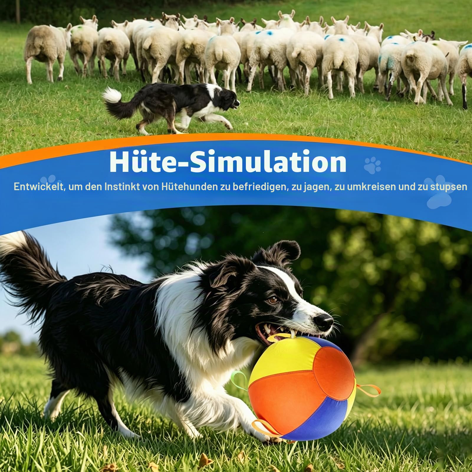 Hüteball für Mittelgroße und Große Hunde Aufblasbarer Hundeball Interaktives Spielzeug Selbstunterhaltender Trainingsball für Australian Shepherd Border Collie (Blau-Orange, 55cm)