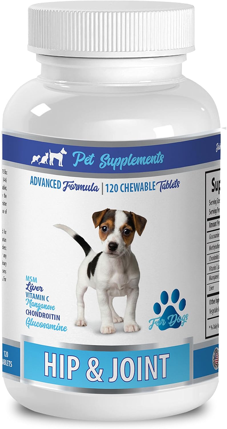 dog hip and joint soft chews DOG HIP AND JOINT HEALTH