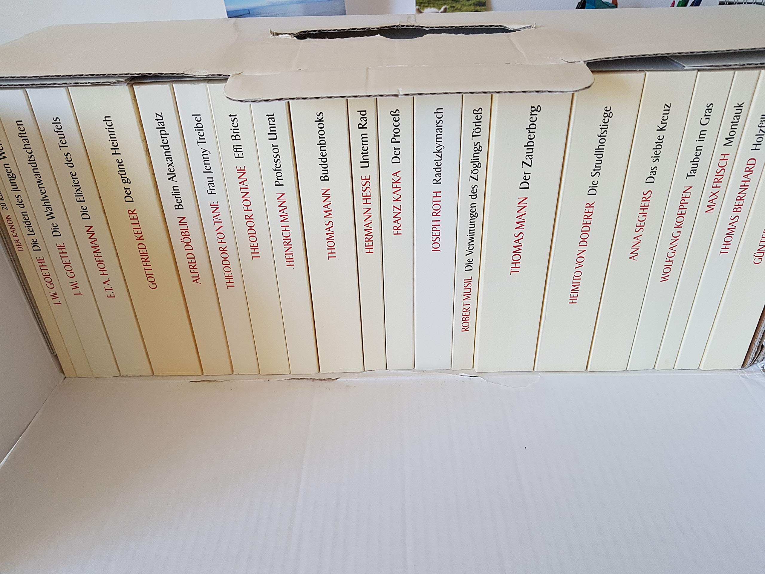 Der Kanon. Die deutsche Literatur. Romane: 20 Bände und ein Begleitband im Schuber (insel taschenbuch)