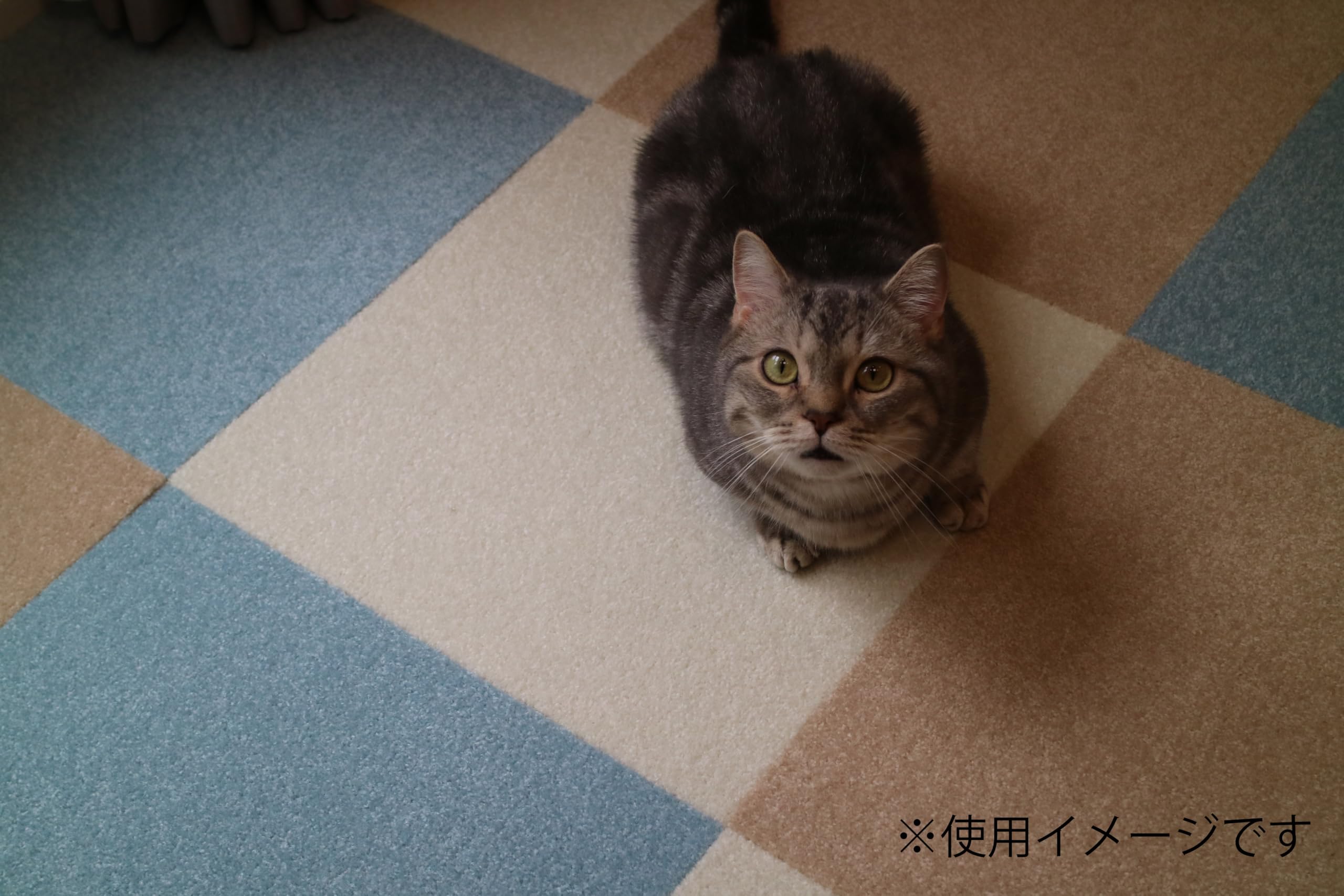 Amazon | 東リ ウィズペットフロア モカ 40cm×40cm WPF03 | 東リ (TOLI