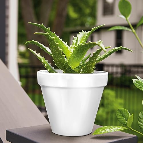 Vista 411 de Krylon - Pintura y primer en aerosol COLORmaxx K05511007, 12 onzas, rojo cereza brillante Cherry Red