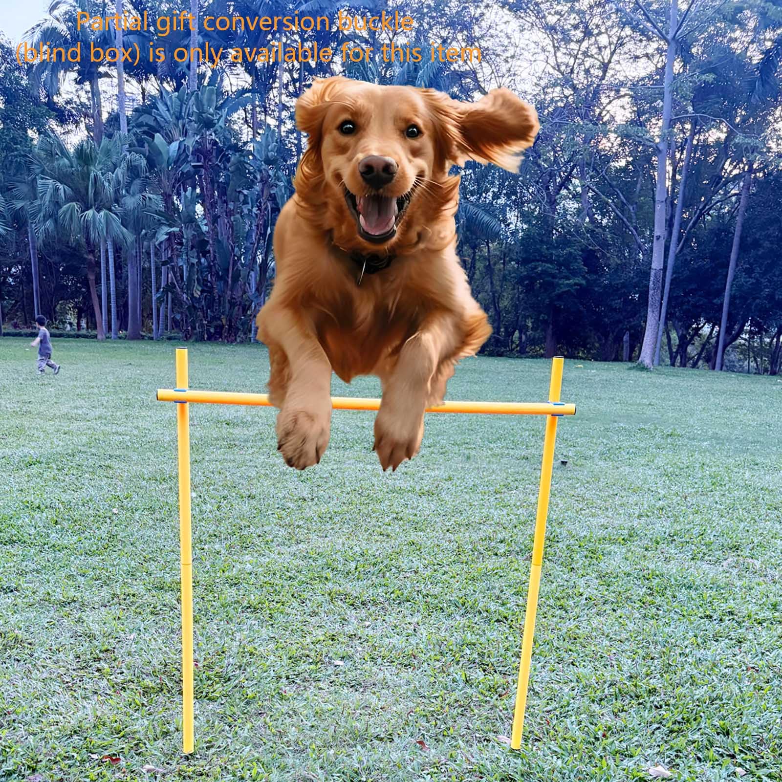 Set di attrezzature per l'agilità del cane, corsa ad ostacoli all'aperto con 6 aste intrecciate e barra di salto regolabile, fibbia di conversione parziale regalo (scatola cieca), giallo