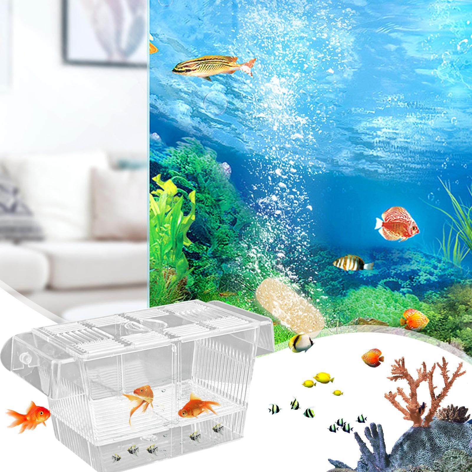 Genérico Caja De Cría De Peces, Paridera Acuario, Caja De Cría De Acrílico, Divisor De Pecera, para Camarones Betta Guppy