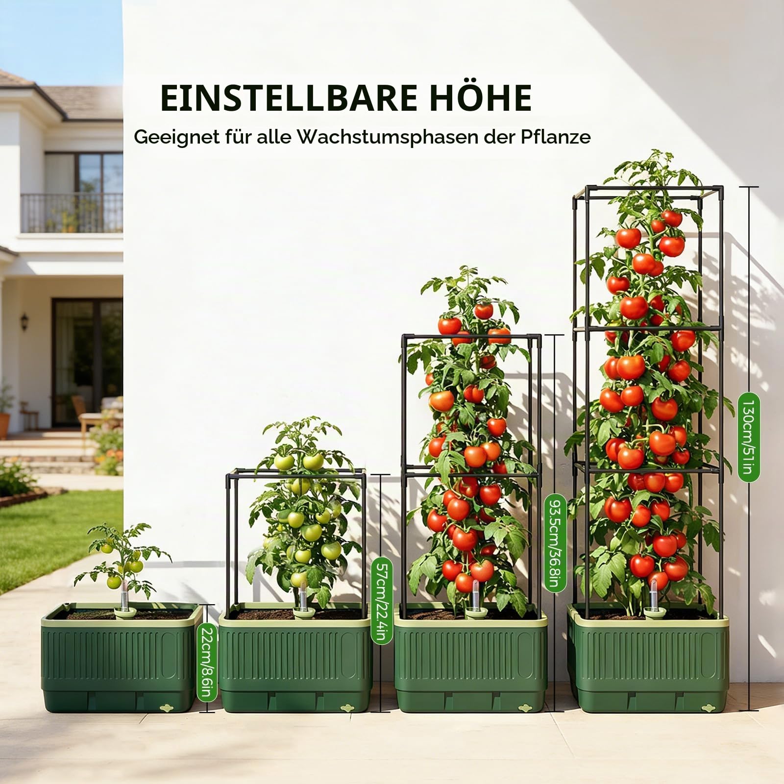 MQUPIN Tomaten Pflanzkästen, 1 Stück Selbstbewässerung Tomaten Rankhilfe, Pflanzen, Höhe Einstellbar Tomatenturm，für Kletterpflanzen Gemüse Blumen