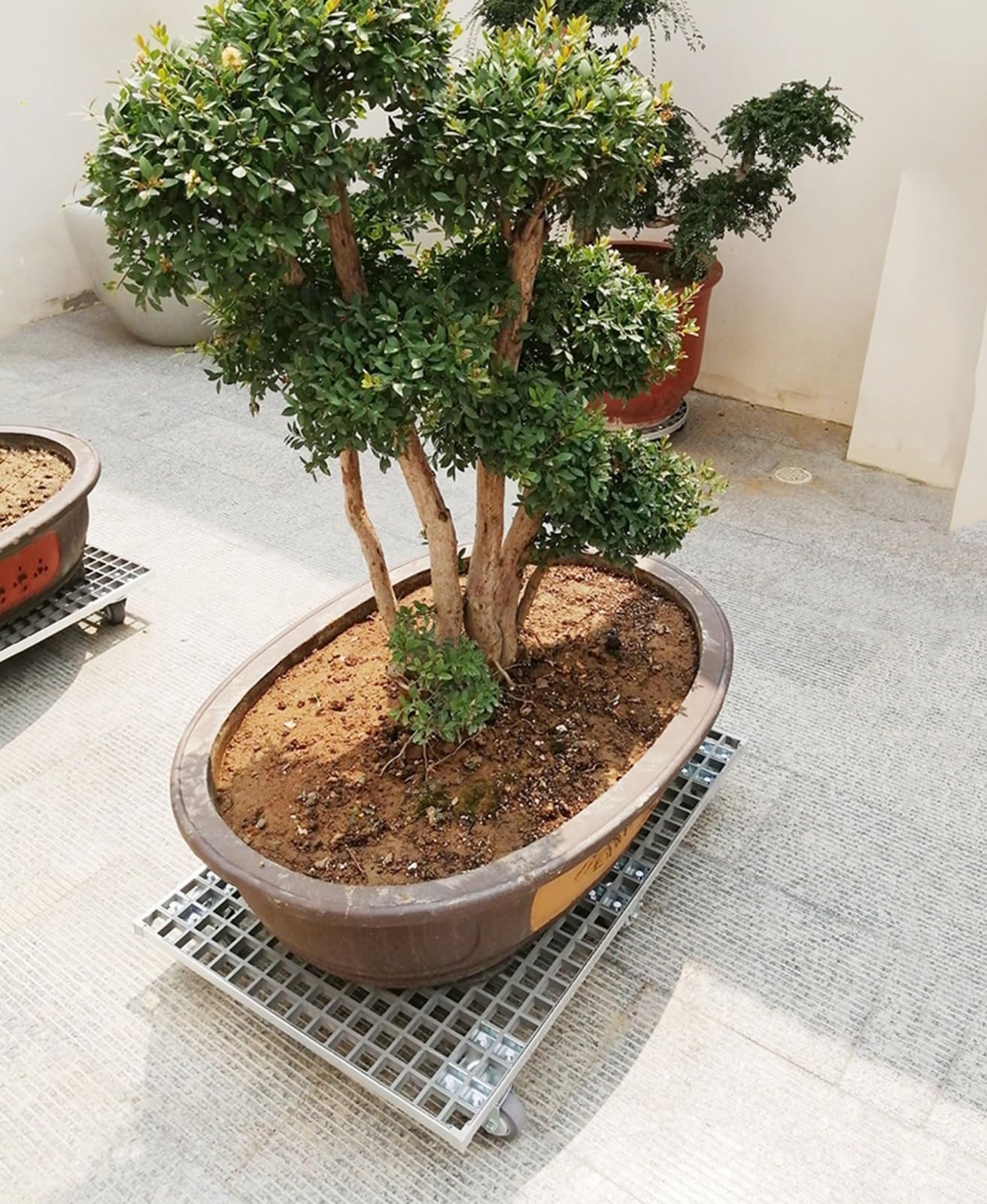 Chariot de fleurs à roulettes verrouillable avec roulettes - Idéal pour les jardins, les terrasses et les balcons - Gris - 69 x 46 cm - Parfait pour les plantes d'intérieur/extérieur