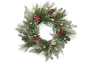 Pre-Lit Christmas Wreath for Front Door - 18-inch Snow Branches with 20 LED Lights