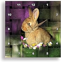 Vista 1 de 3dRose LLC Reloj de pared de conejo, 10 x 10 pulgadas