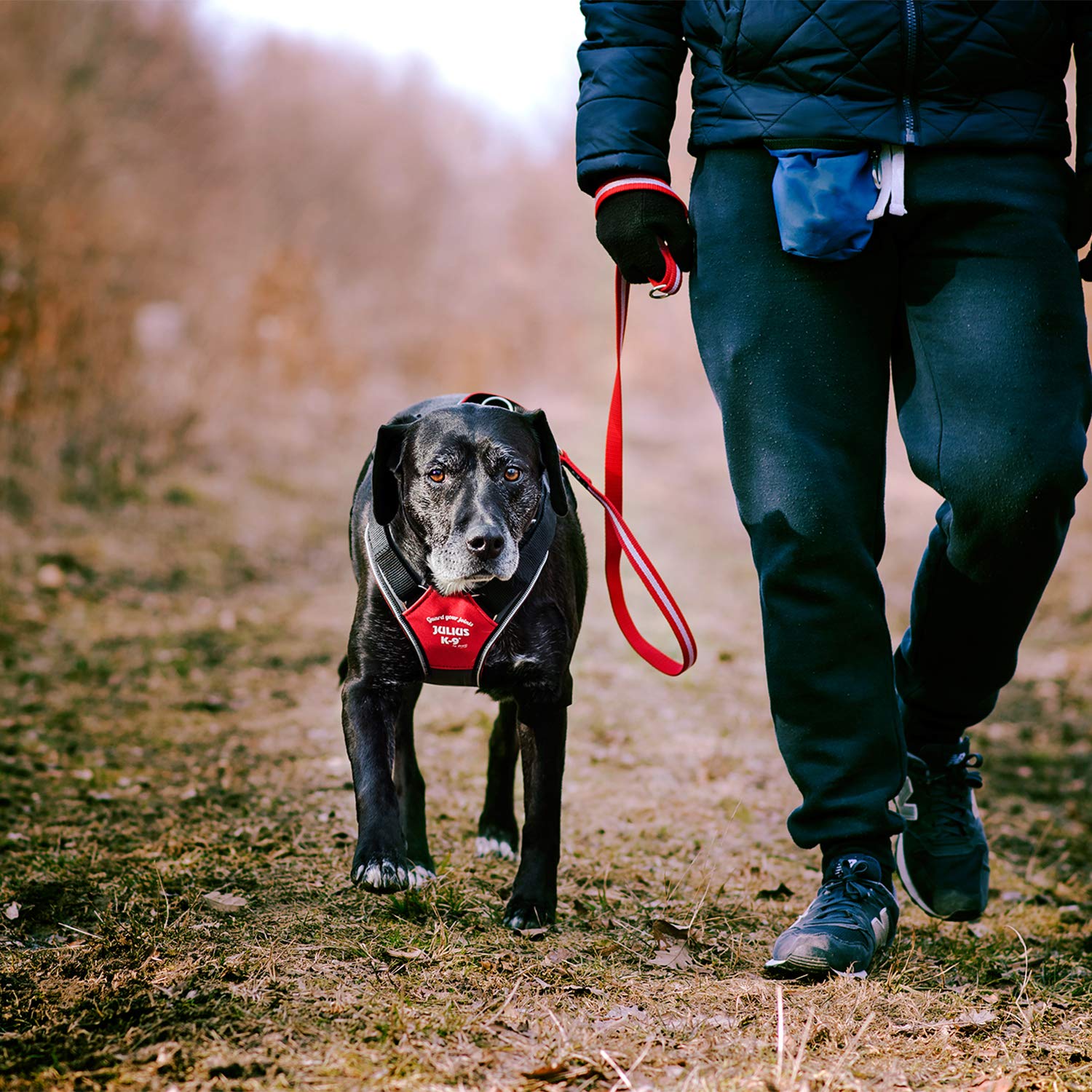 JULIUS K-9, Harnais IDC Longwalk, Rouge-Gris, Taille: L