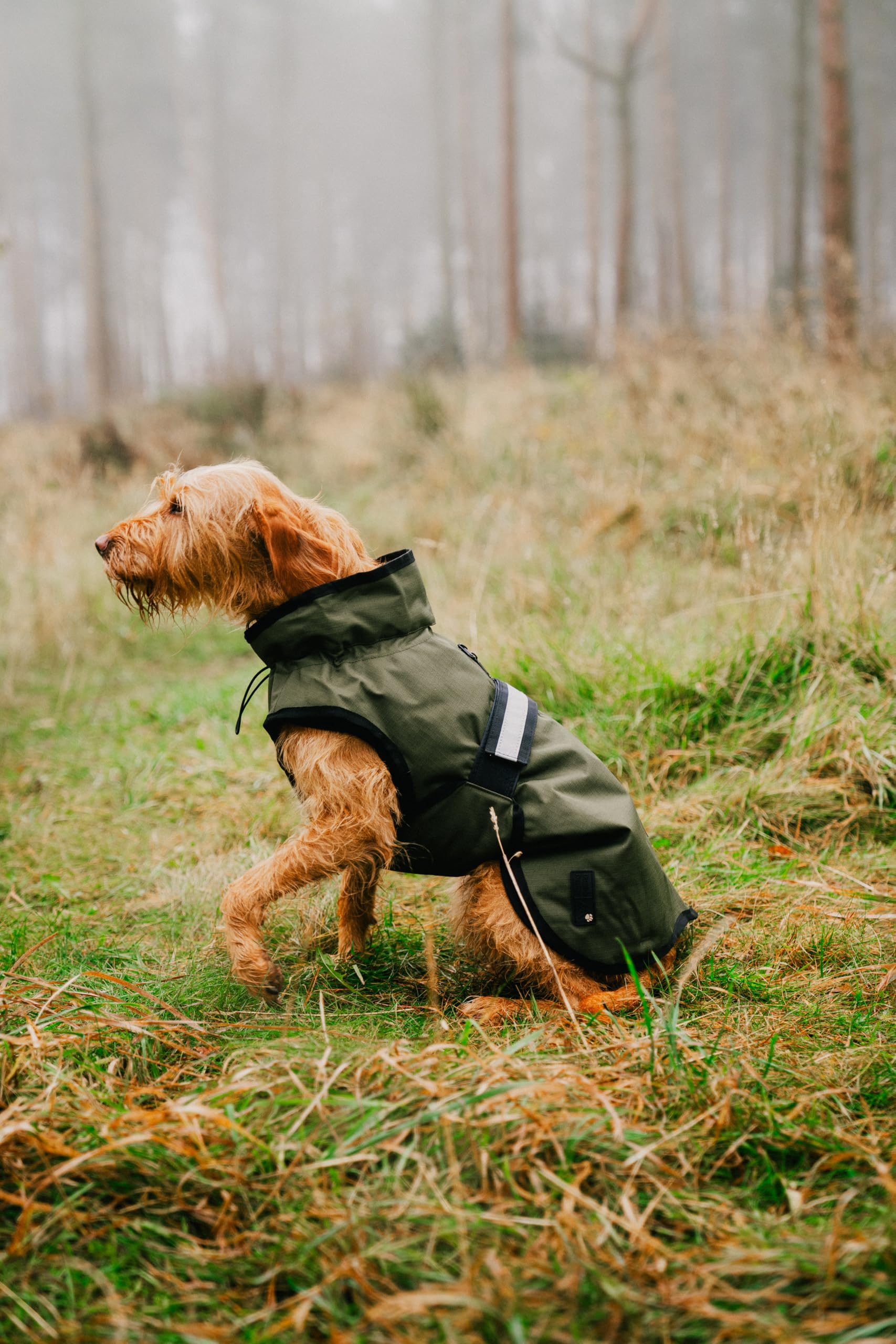 Danish Design 3-in-1-Hundemantel, 57 cm, für jedes Wetter, mit Fleece gefüttert, reflektierender Regenmantel für Hunde, Olivgrün