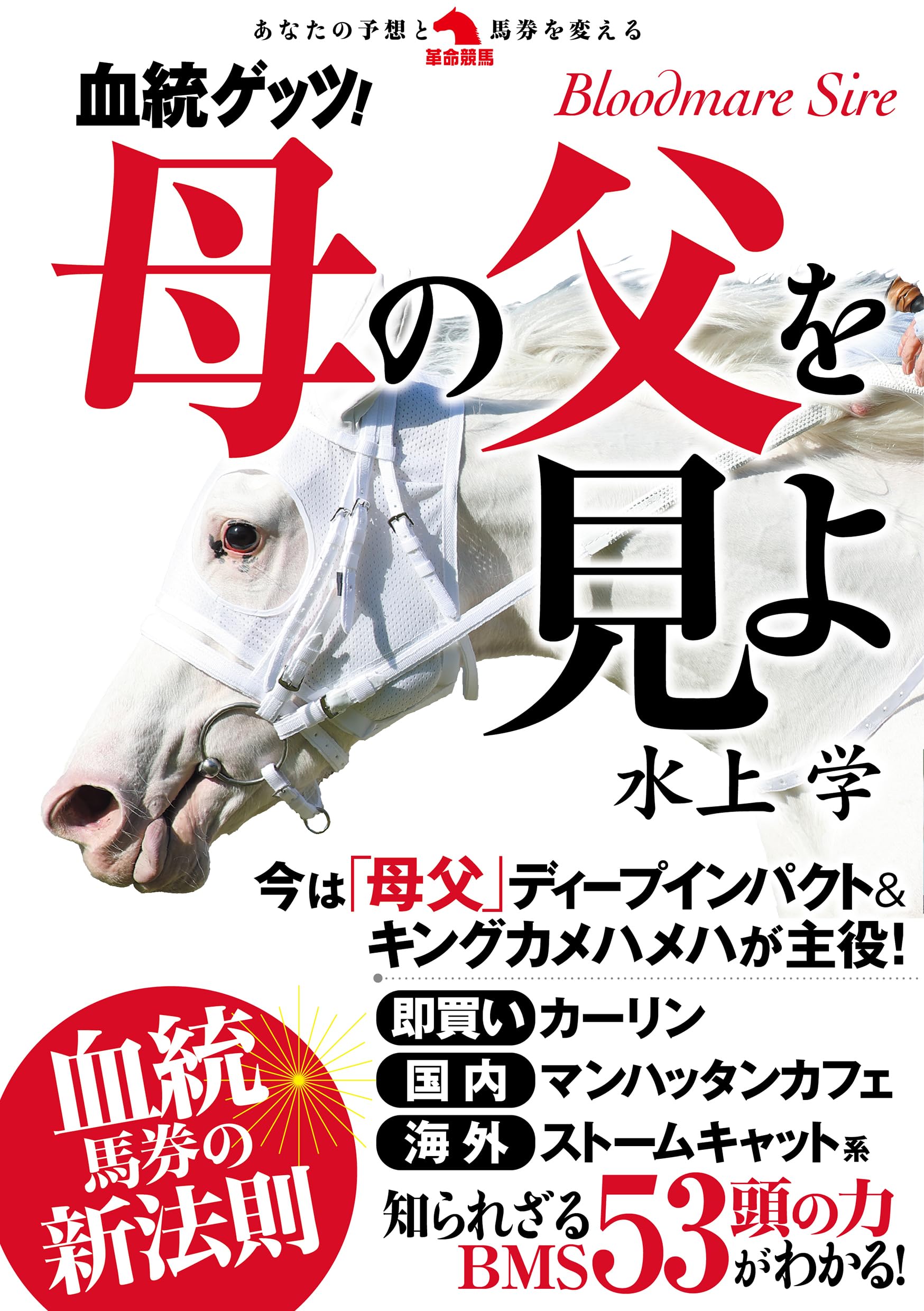 サイン本・天馬の血族 : 完全版チラシ2枚、売上げカード、 帯付き初版第8巻 81FBUoEn25L.jpg
