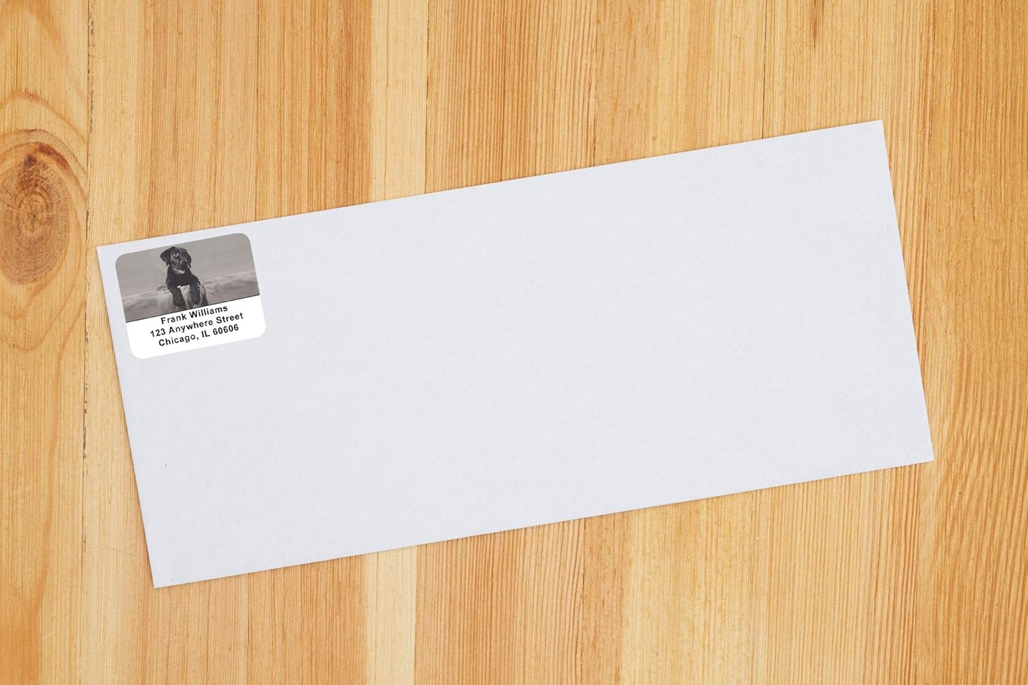 Black Lab Puppies Address Labels