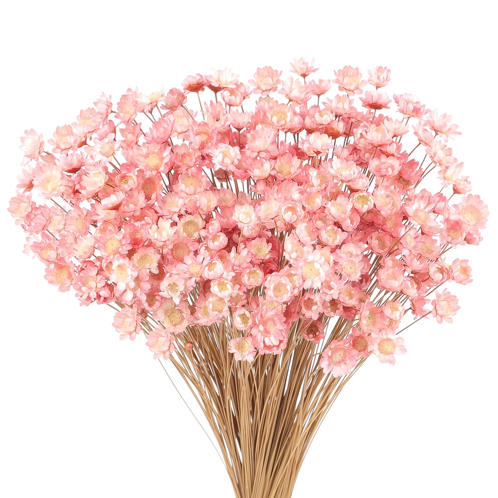 JINGGEGE. Teste Seta Artificiale della Margherita Fiori for Il Matrimonio della Decorazione della casa di Lavoro Manuale Fai da Te Accessori Ghirlanda Falso del Fiore DIY della Decorazione della casa